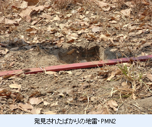 発見されたばかりの地雷・PMN2