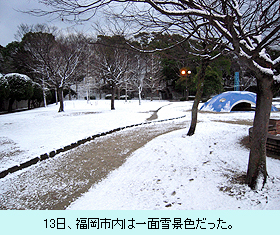 13日、福岡市内は一面雪景色だった。