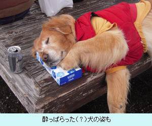 酔っぱらった（？）犬の姿も