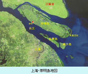 上海・崇明島地図