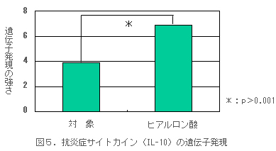 図５．抗炎症サイトカイン（IL-10）の遺伝子発現