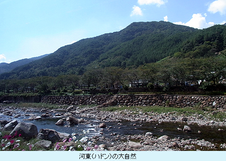 河東の大自然