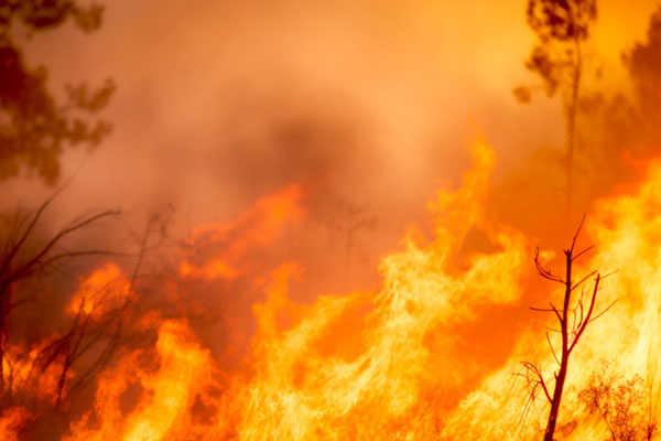 山火事 イメージ