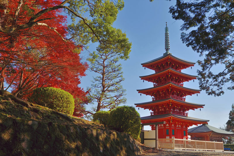 瀧光徳寺の五重宝塔