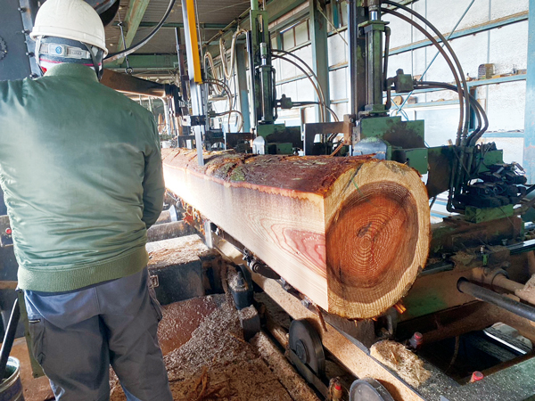 県内の製材所で加工される原木