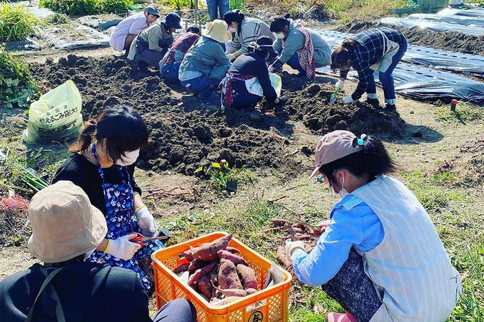 「ソライコ」での作業の様子