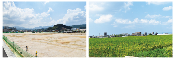 （左）道善・恵子土地区画整理事業　（右）仲・五郎丸地区