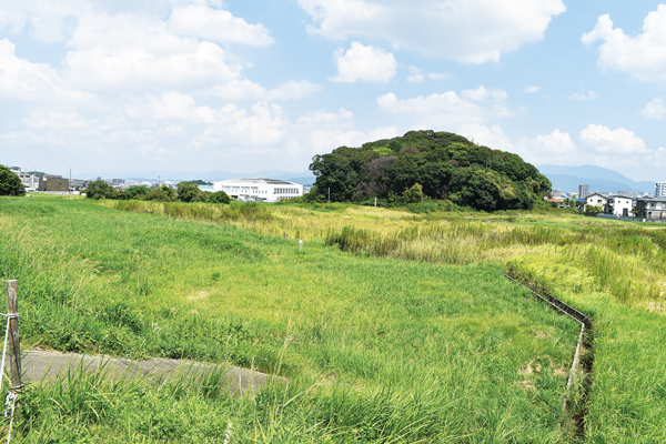 那珂川市総合運動公園の計画地