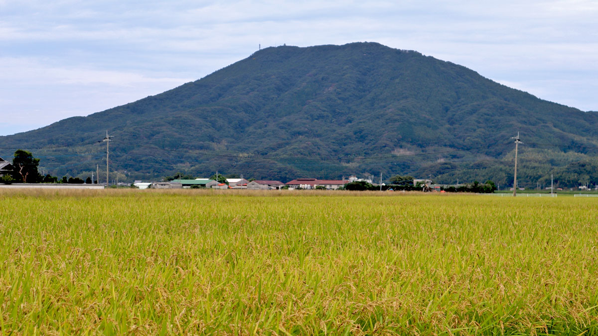 可也山と広がる田んぼ