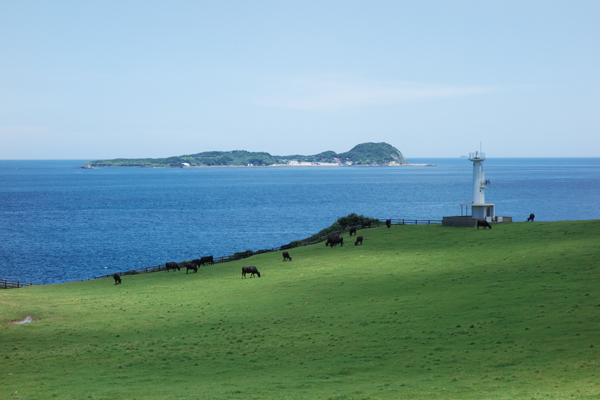 加部島の牧場と小川島