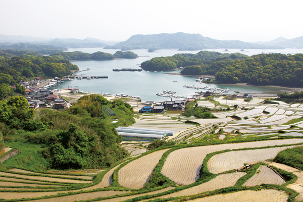 大浦の棚田といろは島