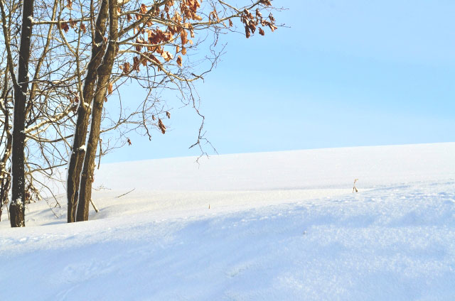 雪景色　イメージ