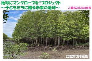 マングローブの植林・再生で 地球環境の保全に大きく貢献