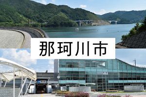 市街地整備進む「笑顔で暮らす自然都市なかがわ」（前）