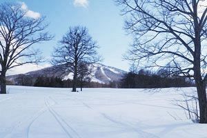 【追悼】健重さん（姓・山本）早すぎたぞ！