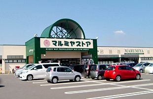 リテールパートナーズ 2016年２月期、増収増益～既存店売上好調