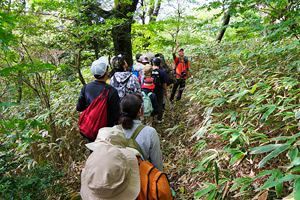 『脊振の自然に魅せられて』「ぶらぶらあぶらクラブの子どもたちと脊振山歩き」（後）