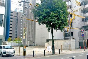 まちかど風景・中央区～大濠公園駅側に10階建マンション