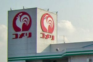 大分県で「パワー」業態1号店、29日オープン コメリ、豊後大野市に