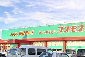 コスモス薬品の今期、ドラッグストア4社目の1兆円乗せへ 120店出店、九州は660店に